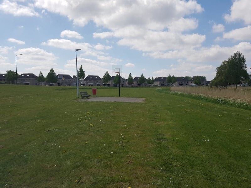 Basket ball field overview
