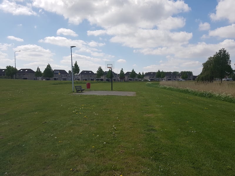 Basket ball field overview