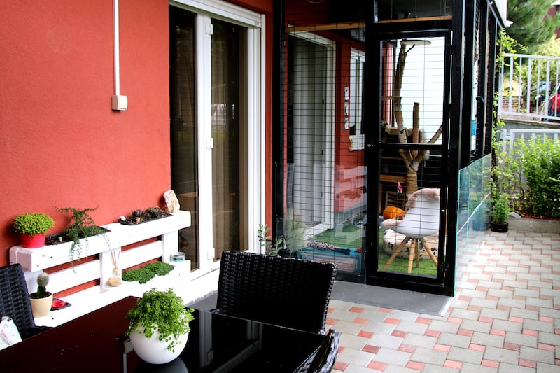 DIY catio in your garden