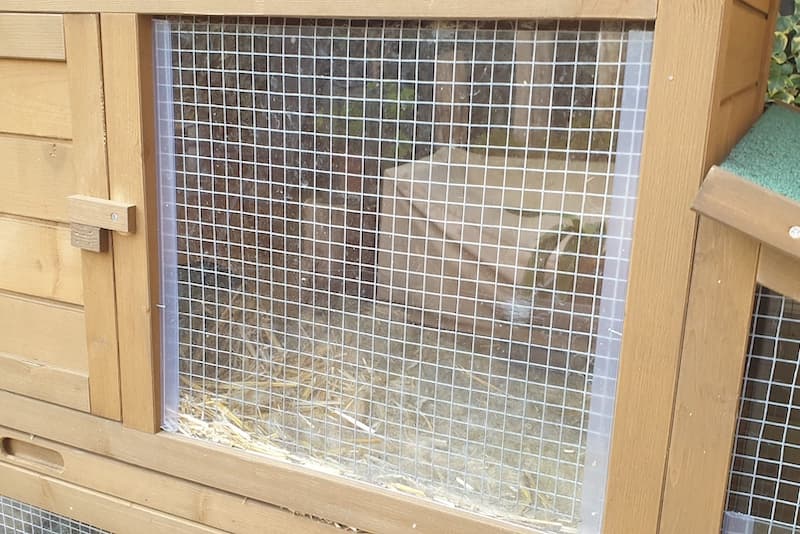 Making a windbreak rabbit hutch