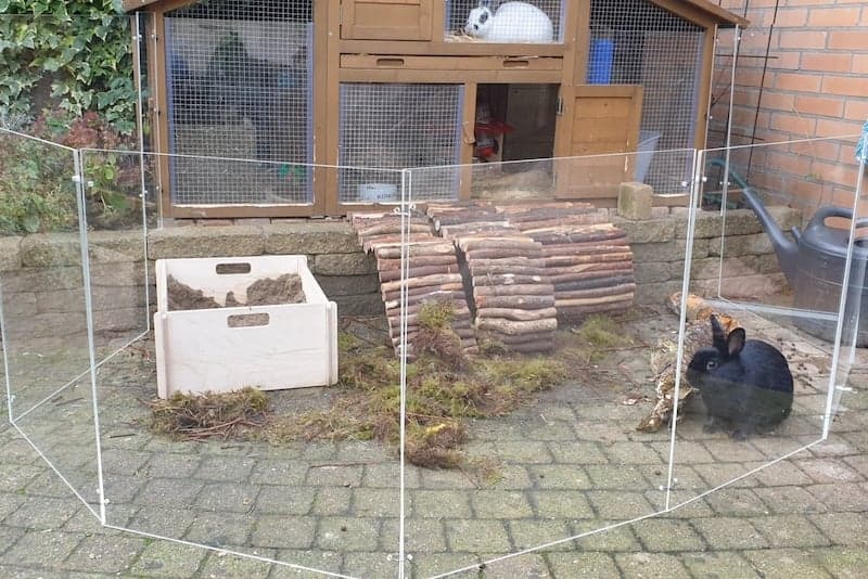 Windbreak rabbit hutch