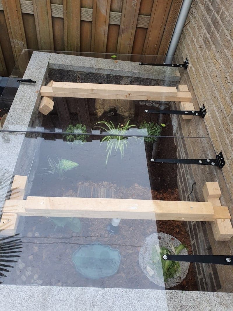 build turtle enclosure outside