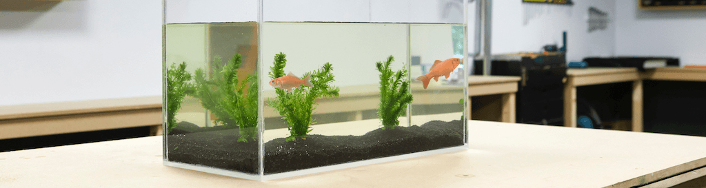 DIY aquarium from acrylic sheet