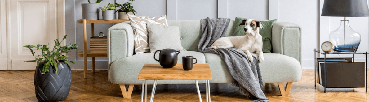 home decoration cozy living room