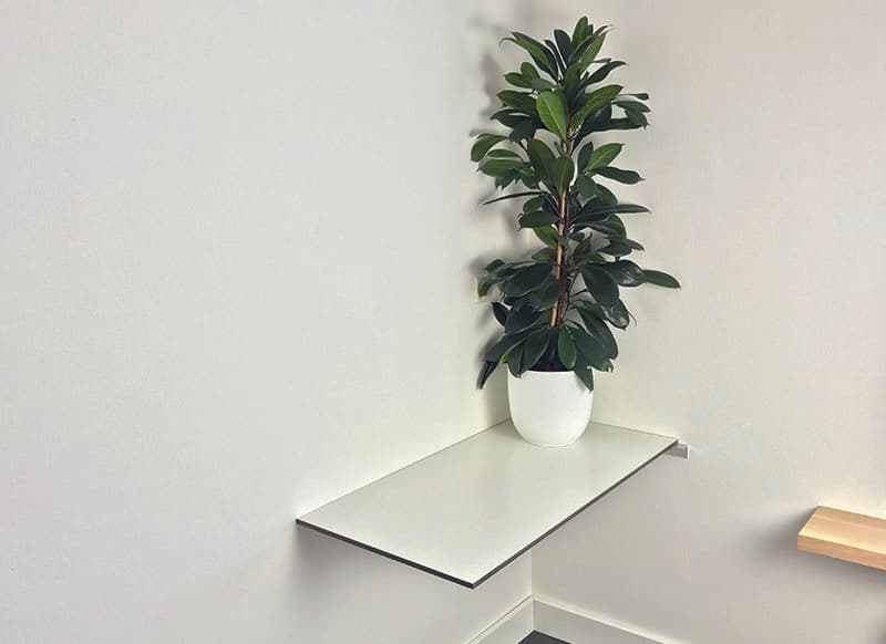 DIY HPL Desk
