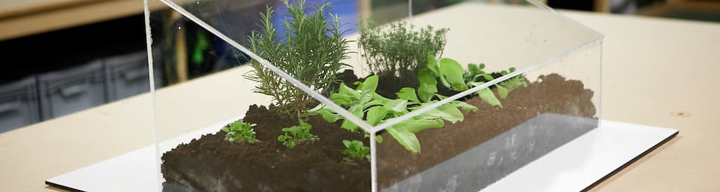 DIY mini greenhouse