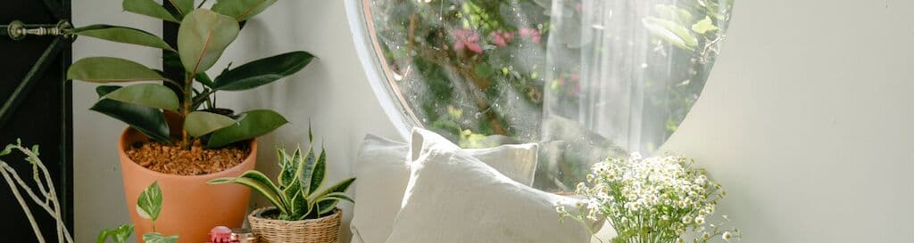 Plastic windows