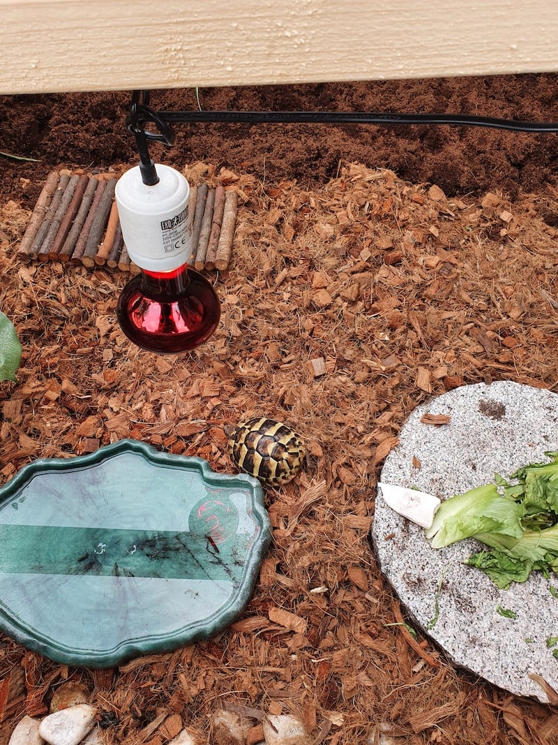 outdoor turtle enclosure plexiglass