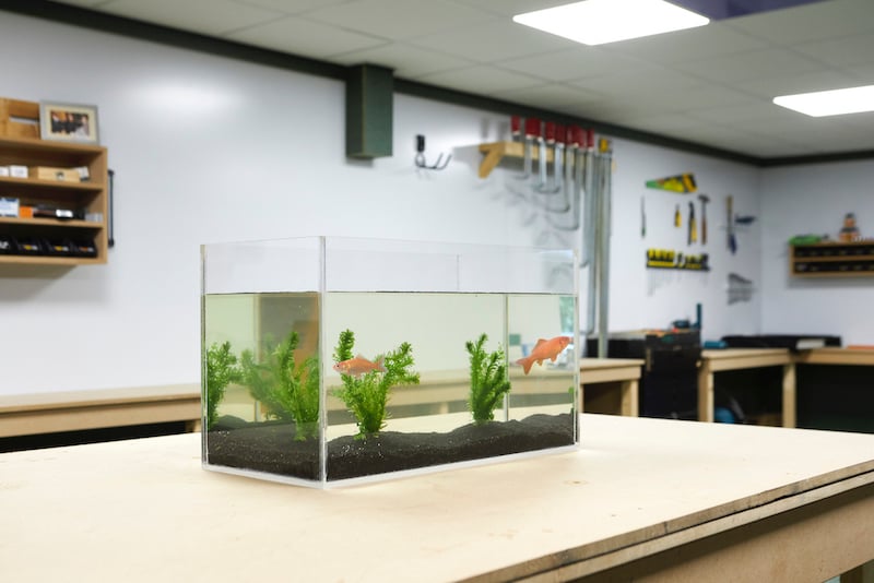 DIY acrylic aquarium result with fish
