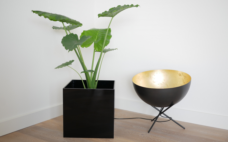 acrylic planter